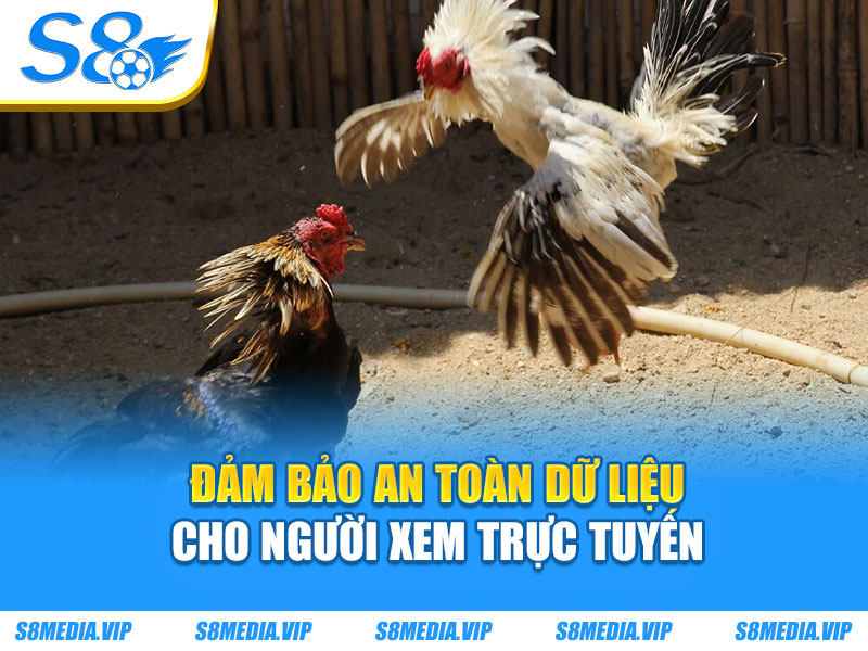 Đảm bảo an toàn dữ liệu cho người xem trực tuyến